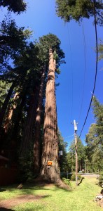 FullSizeRender (876) - Copy