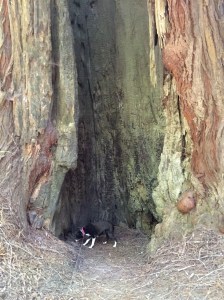 FullSizeRender (881) - Copy