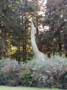 FullSizeRender (885) - Copy