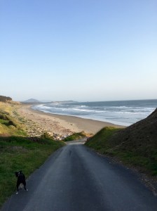 FullSizeRender (887) - Copy