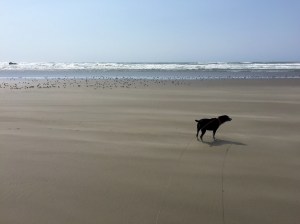 FullSizeRender (892) - Copy