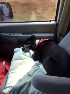 FullSizeRender (899) - Copy