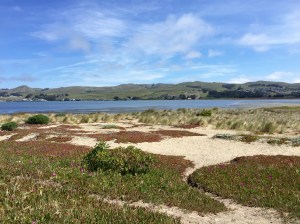 FullSizeRender (901) - Copy