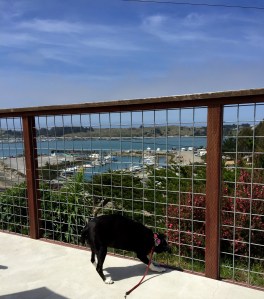 FullSizeRender (905) - Copy