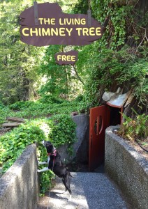 FullSizeRender (926) - Copy