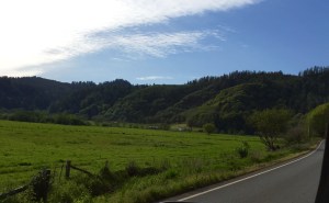 FullSizeRender (934) - Copy