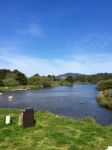 FullSizeRender (935) - Copy