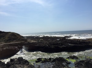 FullSizeRender (937) - Copy