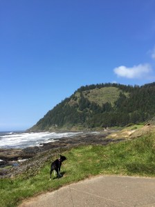 FullSizeRender (938) - Copy