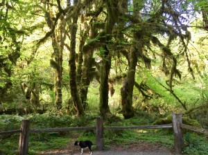 FullSizeRender (952) - Copy