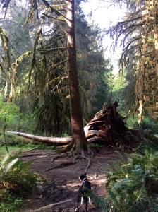 FullSizeRender (953) - Copy