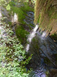 FullSizeRender (957) - Copy