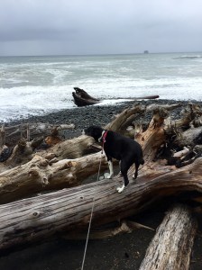 FullSizeRender (969) - Copy