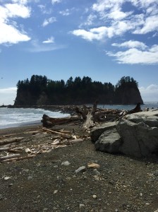 FullSizeRender (971) - Copy