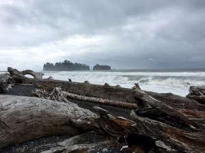 FullSizeRender (975) - Copy