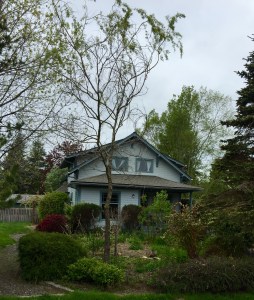 FullSizeRender (987) - Copy