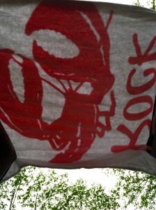 FullSizeRender (997) - Copy