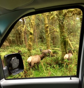 FullSizeRender (998) - Copy