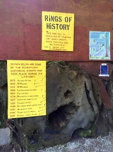 FullSizeRender - Copy (300)