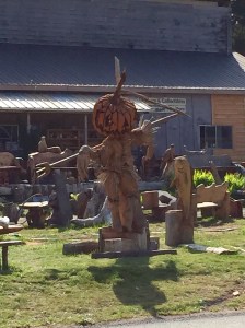 FullSizeRender - Copy (307)