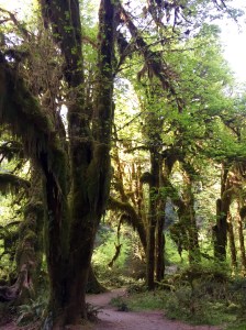 FullSizeRender - Copy (329)