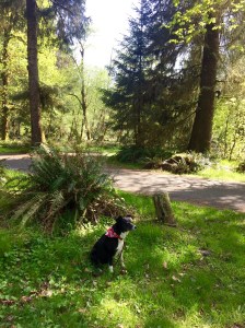 FullSizeRender - Copy (332)