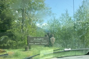 FullSizeRender - Copy (334)