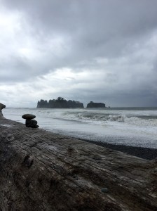 FullSizeRender - Copy (337)