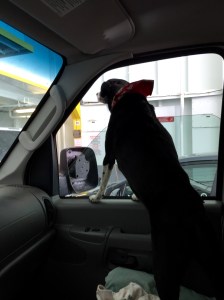 FullSizeRender - Copy (349)