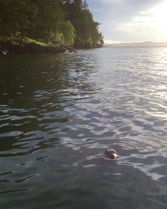 FullSizeRender - Copy (350)