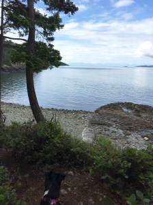 FullSizeRender - Copy (353)