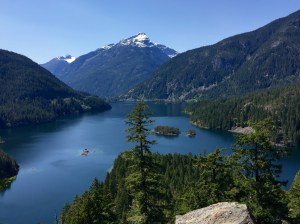 FullSizeRender - Copy (371)