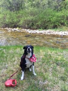 FullSizeRender - Copy (374)