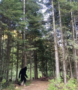 FullSizeRender - Copy (375)