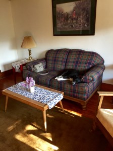 FullSizeRender - Copy (382)