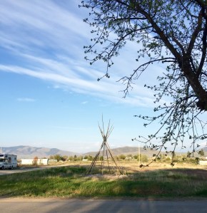 FullSizeRender - Copy (384)