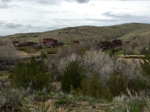 FullSizeRender - Copy (392)