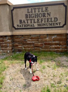 FullSizeRender (1201) - Copy