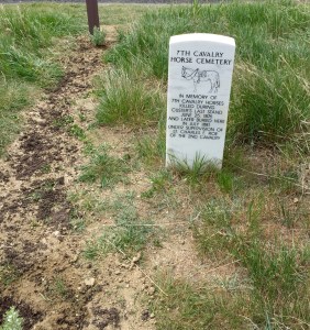 FullSizeRender (1203) - Copy