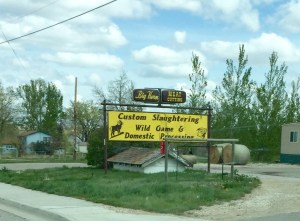 FullSizeRender (1208) - Copy