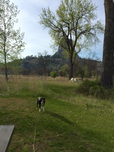 FullSizeRender (1214) - Copy