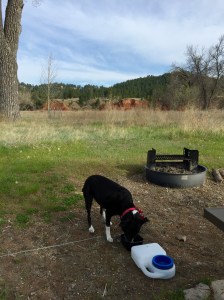 FullSizeRender (1217) - Copy