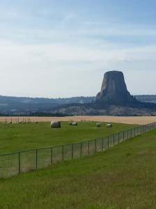 FullSizeRender (1226) - Copy