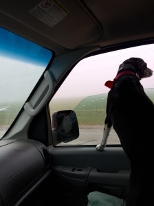 FullSizeRender (1238) - Copy