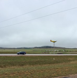 FullSizeRender (1239) - Copy