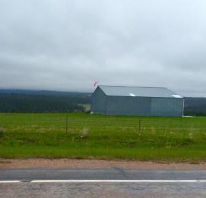 FullSizeRender (1241) - Copy