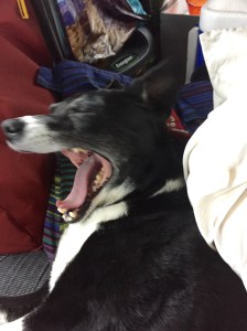 FullSizeRender (1245) - Copy