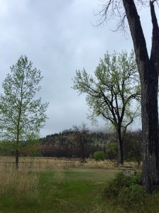 FullSizeRender (1246) - Copy