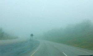 FullSizeRender (1249) - Copy