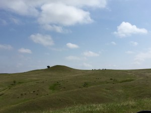 FullSizeRender - Copy (407)